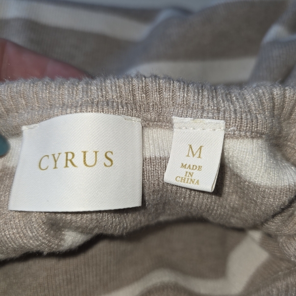 Cyrus Taupe and Cream Striped Knit Top Medium Ribbed Cuff, Hem, and Neckline - Picture 3 of 4
